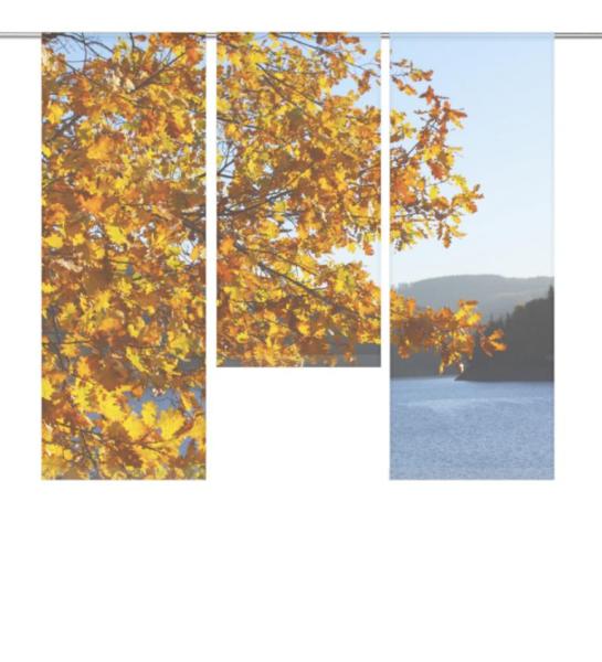 Herbst am See, Flächenvorhang 3er Set, transparent